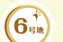 6号地