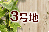 3号地