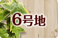 6号地