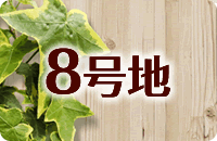 8号地