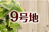 9号地